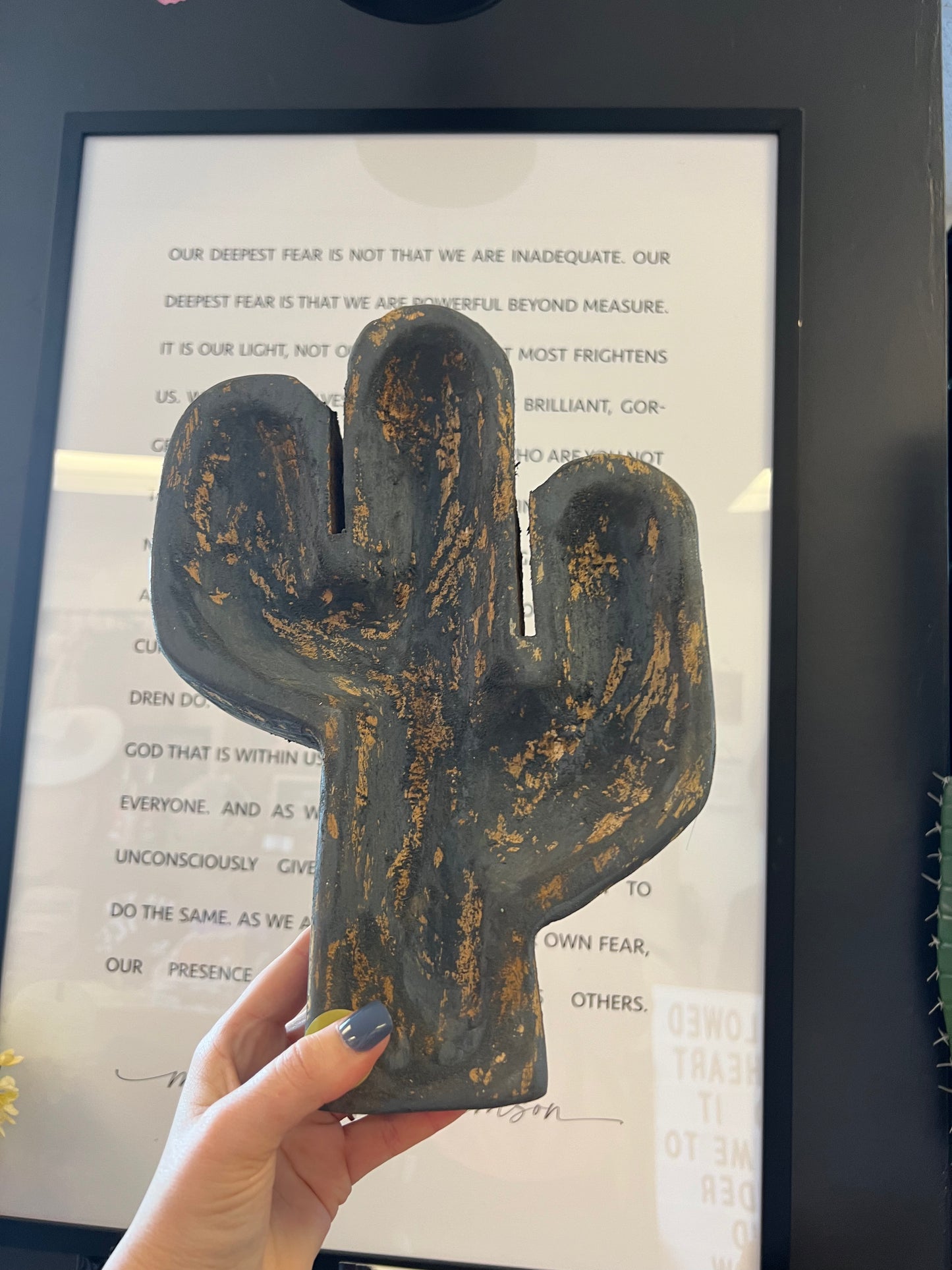 Charcoal distressed cactus bowl