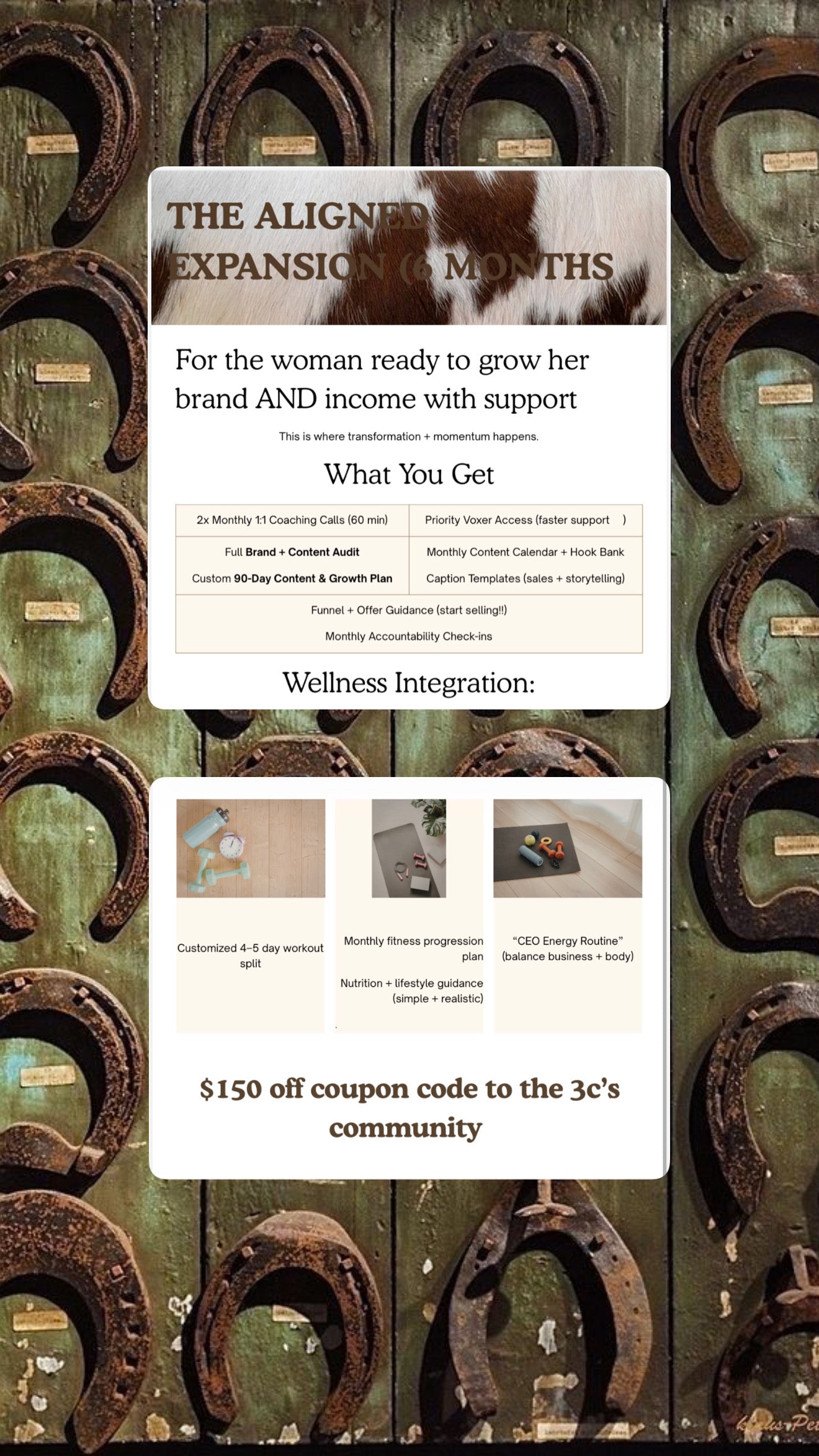 6 month coaching package